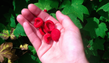 Screen Shot 2014-08-05 at 4.51.30 PM