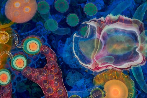 bruceriley_explodedview